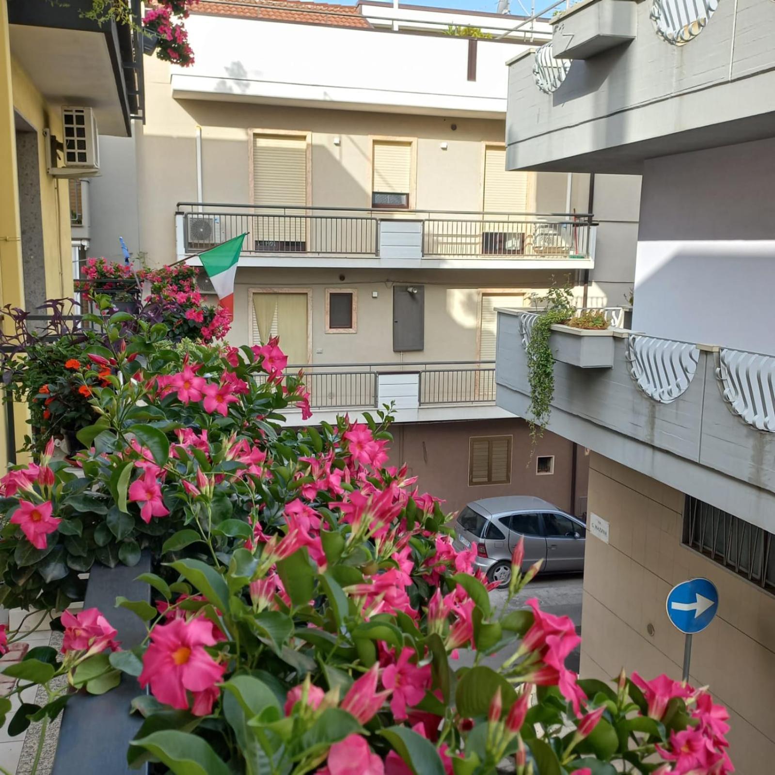 B&B Stupor Mundi Altamura Extérieur photo